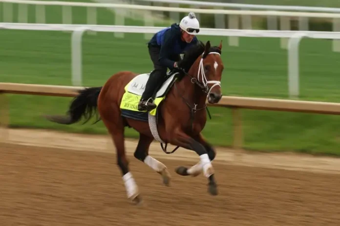 A jockey rides Journalism, the 2025 Kentucky Derby favorite, during a training session on the Churchill Downs racetrack.