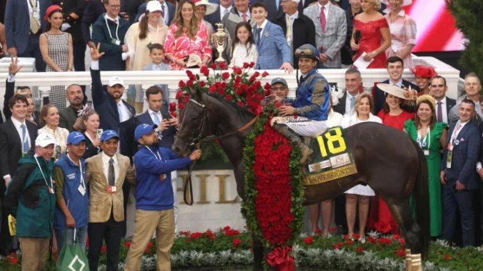 Sovereignty, the winning horse of the 2025 Kentucky Derby, draped in a garland of roses, stands in the winner's circle at Churchill Downs with jockey and team.